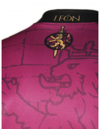 Maillot Corto Reino de León