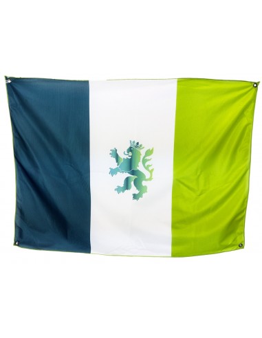 Bandera Lucha por la Montaña León